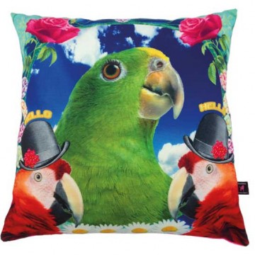 De kunstboer kussen papegaai