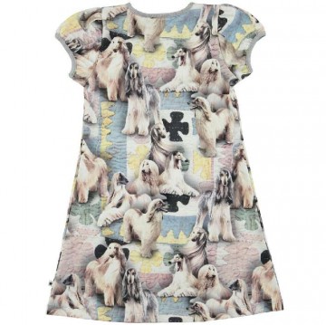 Molo camellia jurk dogtastic b