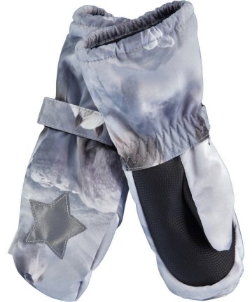 Molo igor wanten ponyb