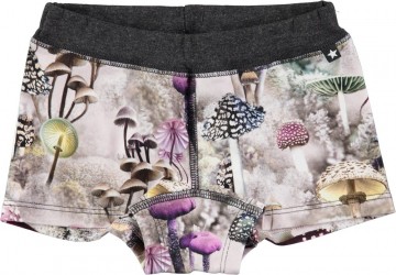 Molo onderbroek wonderbos