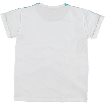 Molo rafe shirt pool b