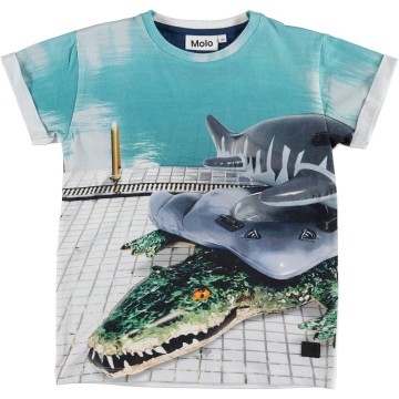 Molo rafe shirt pool