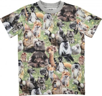 Molo ralphie shirt hairy animals