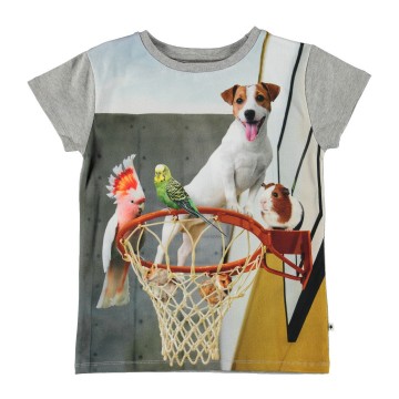 Molo ranva shirt pet escape