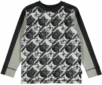 Molo raso longsleeve shirt bulldog