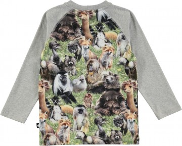 Molo remington shirt hairy b