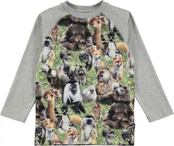 Molo remington shirt hairy