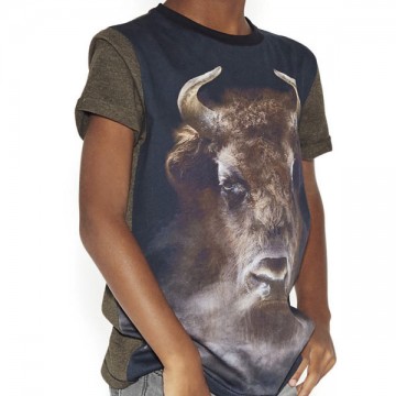 Molo rex shirt earth a