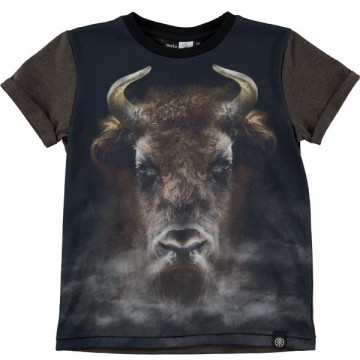 Molo rex shirt earth