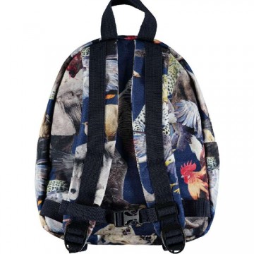 Molo rugtas national animalsb