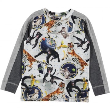 Molo shirt raso no gravity