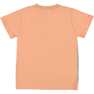 Molo shirt surf away 1