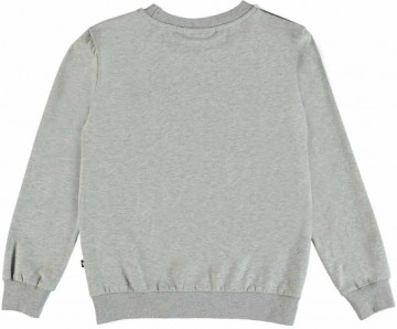 Molo shirt vacation pets b