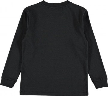 Molo shirt wild encounterb