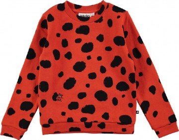 Molo sweater ladybird dots a