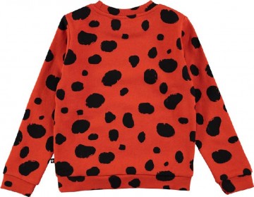 Molo sweater ladybird dots b