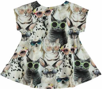 Riva molo sunny funny shirt b