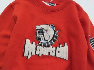 Ryb terraortta trui hond 2