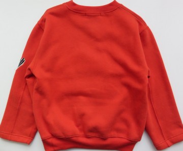 Ryb terraortta trui hond b