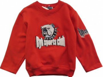 Ryb terraortta trui hond