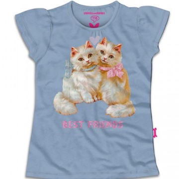 Stones bones top sky