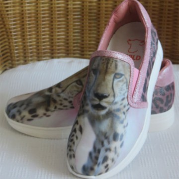 Wild cheetah instappers