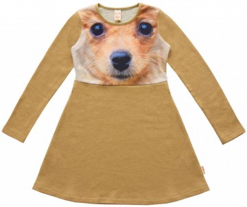 Wild jurk pomeranian hond