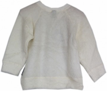 Wild hairy trui pony paard