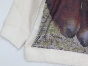 Wild hairy trui pony paarden