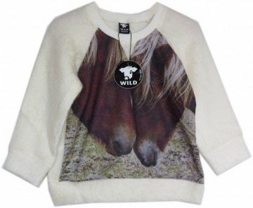 Wild hairy trui pony